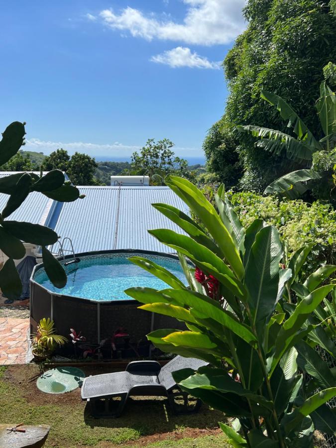 Villa Iguana, Duplex Paisible, Vue Magnifique Mer Et Rocher Du Diamant, Piscine Sainte-Luce Exteriér fotografie