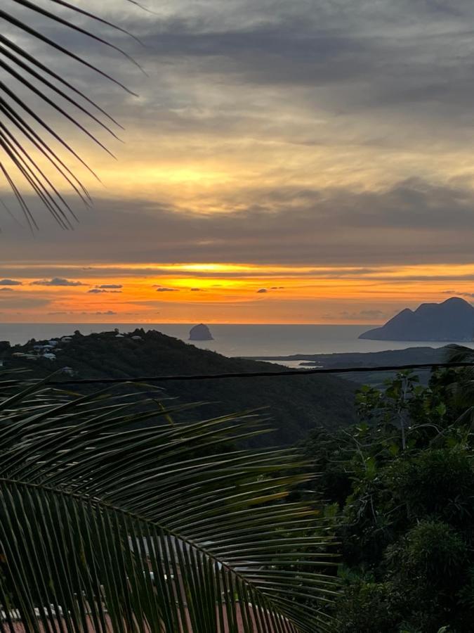 Villa Iguana, Duplex Paisible, Vue Magnifique Mer Et Rocher Du Diamant, Piscine Sainte-Luce Exteriér fotografie